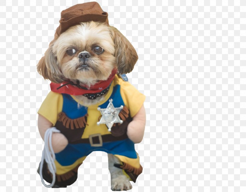 Puppy Shih Tzu Dog Breed Halloween Costume, PNG, 2048x1597px, Watercolor, Cartoon, Flower, Frame, Heart Download Free