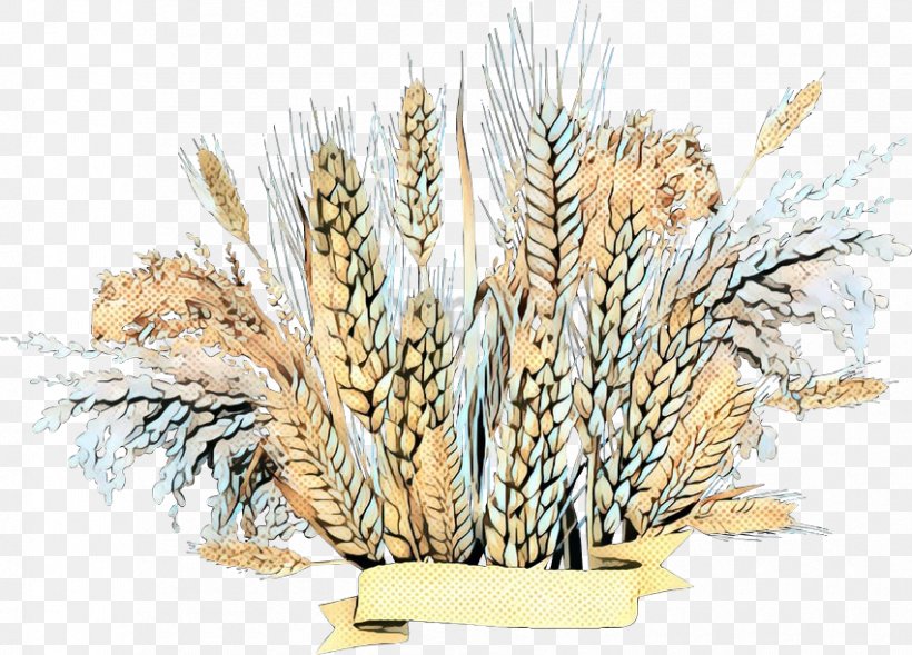 Emmer Grain Tree Wheat, PNG, 850x611px, Emmer, Botany, Branch, Elymus Repens, Flower Download Free