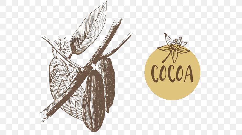 Theobroma Cacao Cocoa Bean Euclidean Vector Illustration, PNG, 632x458px, Theobroma Cacao, Brand, Cocoa Bean, Flavor, Plant Download Free