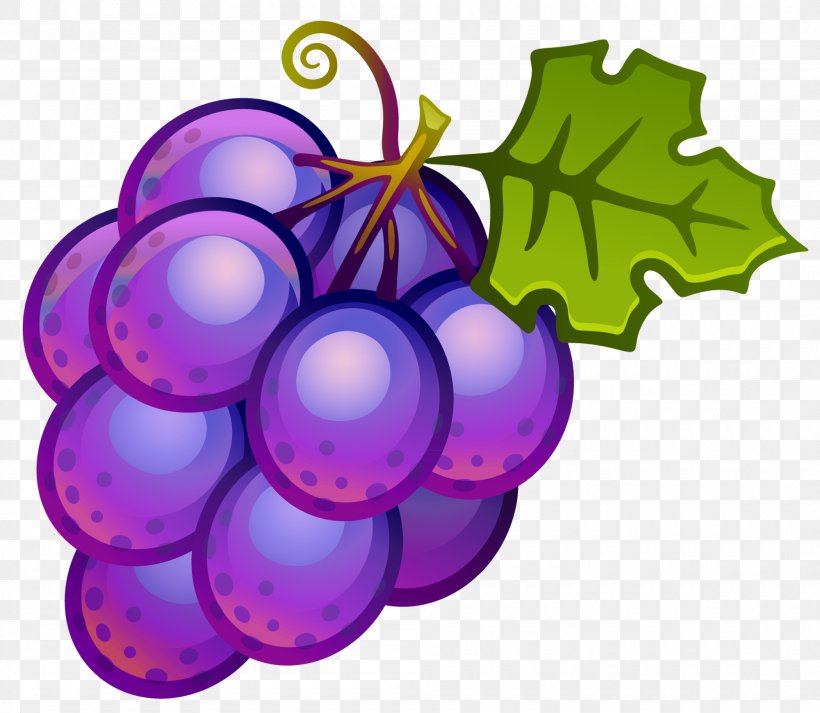 Common Grape Vine Wine Grape Juice Clip Art, PNG, 2000x1741px, Common Grape Vine, Christmas Ornament, Flowering Plant, Food, Free Content Download Free