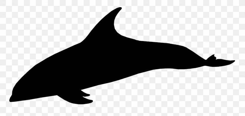 Dolphin Porpoise Whales Clip Art Fauna, PNG, 1813x863px, Dolphin, Beak, Bottlenose Dolphin, California Sea Lion, Cetacea Download Free