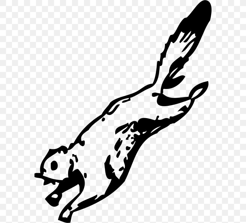 Flying Squirrel Coloring Book Sandy Cheeks Clip Art, PNG, 592x744px, Squirrel, Amphibian, Animal, Art, Beak Download Free