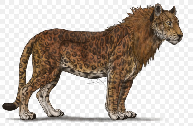 Liger Leopard Lion Tiger Cheetah, PNG, 1024x668px, Liger, Animal