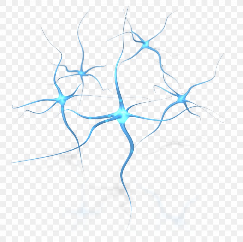 Neuron Human Brain Neuropsychology Clip Art, PNG, 1600x1600px, Neuron, Axon, Blue, Brain, Brain Damage Download Free
