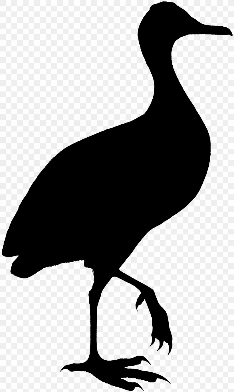 Duck Bird Goose Crane Clip Art, PNG, 1076x1800px, Duck, Beak, Bird, Cormorant, Crane Download Free