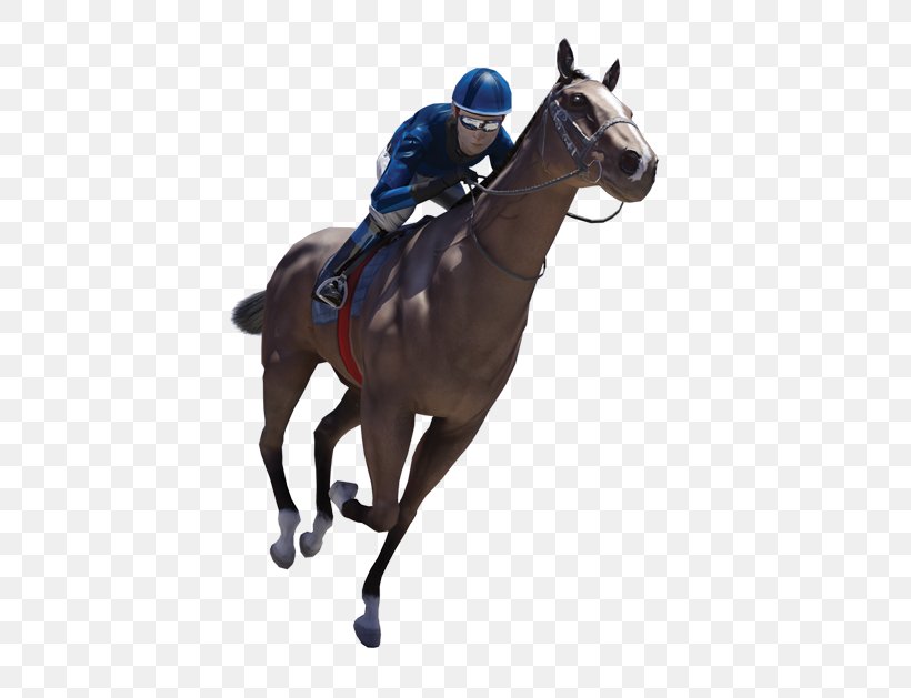 Horse Racing Jockey Stallion Sports Betting, PNG, 500x629px, Horse, Animal Sports, Bit, Bridle, Equestrian Download Free