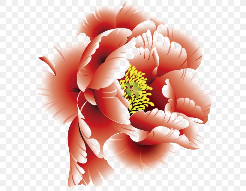 Peony Flower Clip Art, PNG, 600x636px, Peony, Art, Close Up, Color, Cut Flowers Download Free