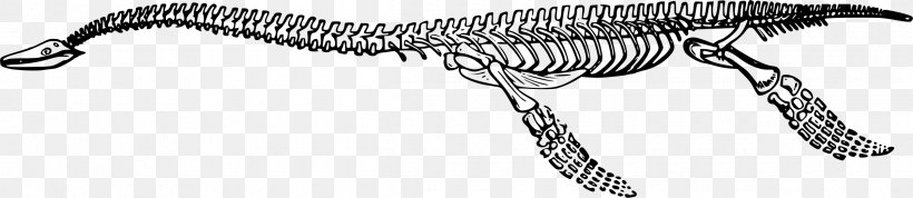 Plesiosauria Tyrannosaurus Dinosaur Plesiosaurus Clip Art, PNG, 2400x523px, Plesiosauria, Black And White, Bone, Carnivoran, Coloring Book Download Free