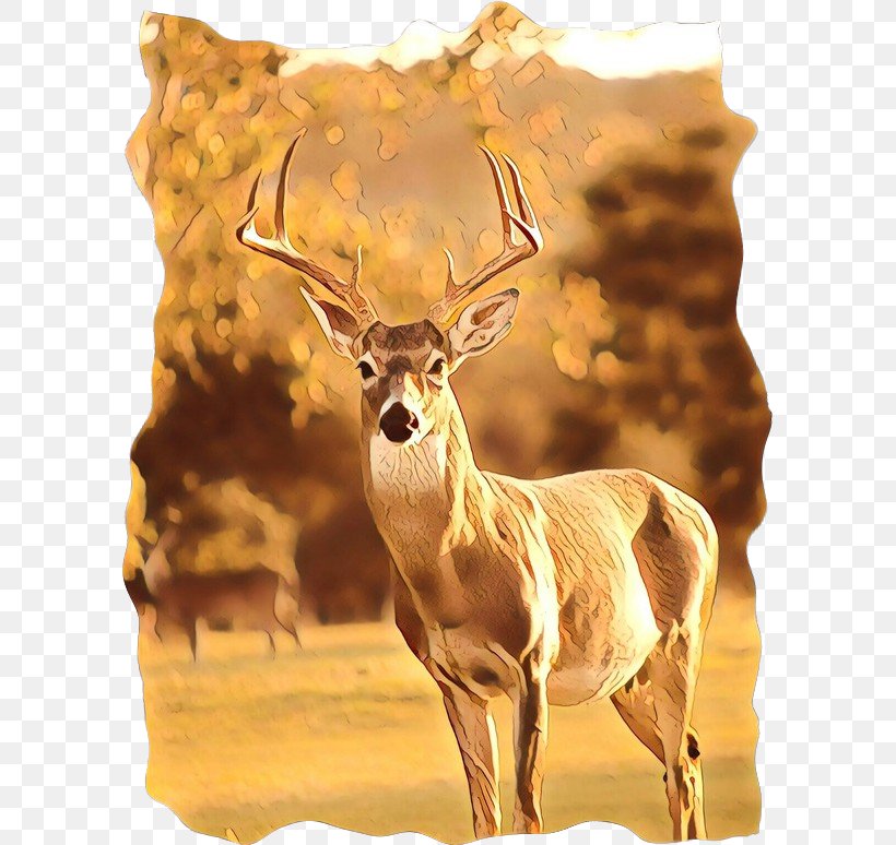 Reindeer Cartoon, PNG, 595x774px, Whitetailed Deer, Animal, Antelope, Antler, Cushion Download Free