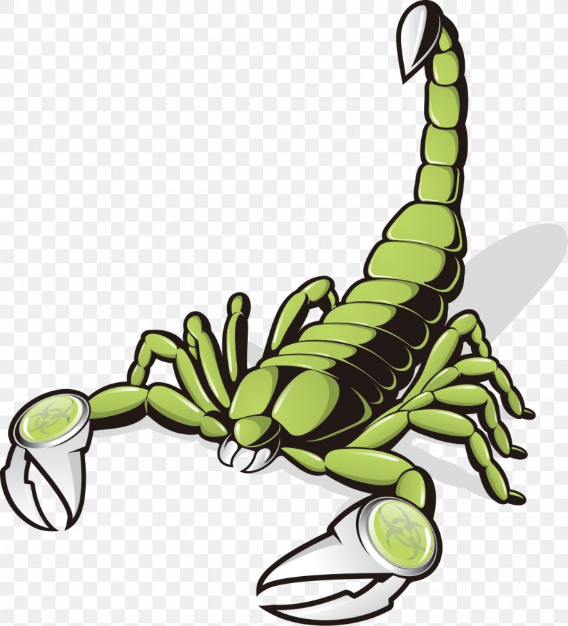 Scorpion Euclidean Vector Clip Art, PNG, 1160x1279px, Scorpion, Arthropod, Cdr, Invertebrate, Membrane Winged Insect Download Free