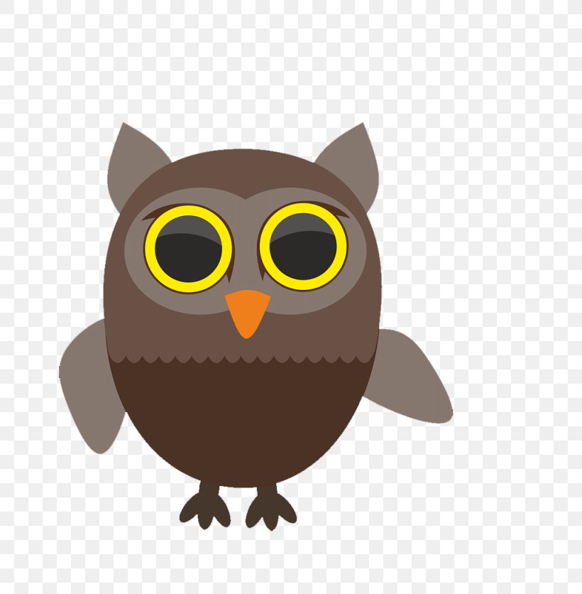 Bird Owl Illustration, PNG, 1024x1045px, Bird, Beak, Bird Of Prey, Owl, Pet Download Free