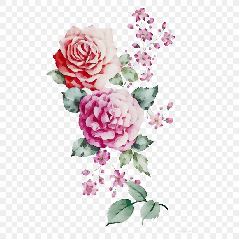 Garden Roses, PNG, 1000x1000px, Watercolor, Cut Flowers, Flower, Flowering Plant, Garden Roses Download Free