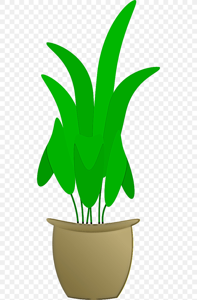 Green Leaf Plant Houseplant Flowerpot, PNG, 512x1245px, Green, Flower, Flowerpot, Herbaceous Plant, Houseplant Download Free