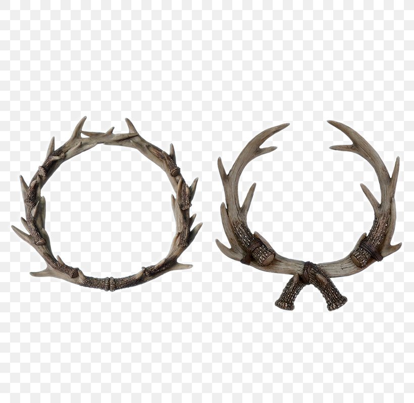 Moose Antler Elkhorn Fern, PNG, 800x800px, Moose, Antler, Elkhorn Fern, Horn, Mirror Download Free