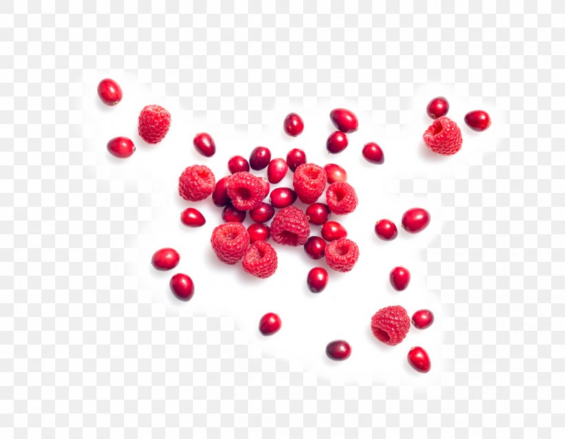 Cranberry Lingonberry Accessory Fruit Food Blueberry, PNG, 1350x1050px, Cranberry, Accessory Fruit, Auglis, Berry, Blueberry Download Free