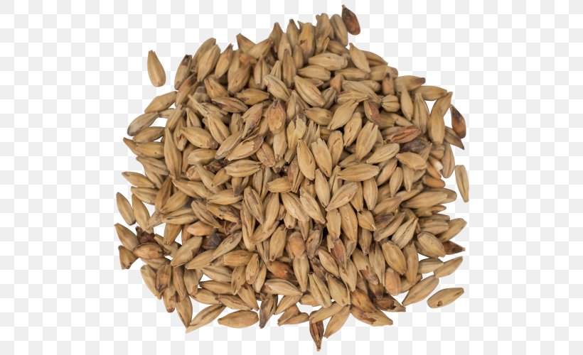 Oat Beer Grist Melanoidin Malt, PNG, 500x500px, Oat, Avena, Beer, Beer Brewing Grains Malts, Cereal Download Free