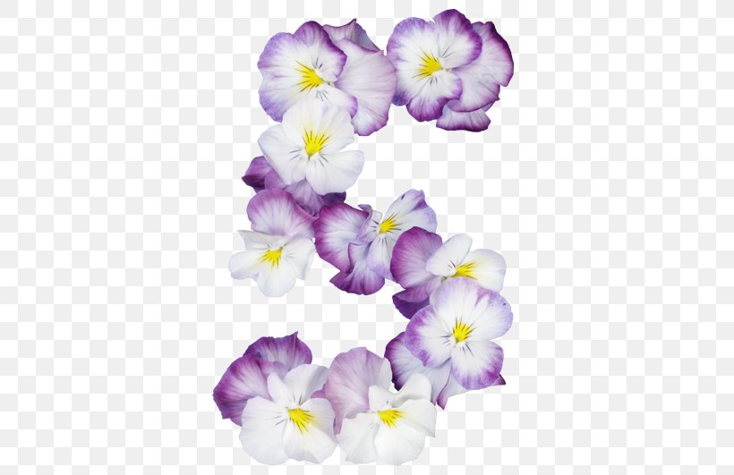Pansy Alphabet Lettering Font, PNG, 525x531px, Pansy, Alphabet, Flower, Flowering Plant, Iris Download Free