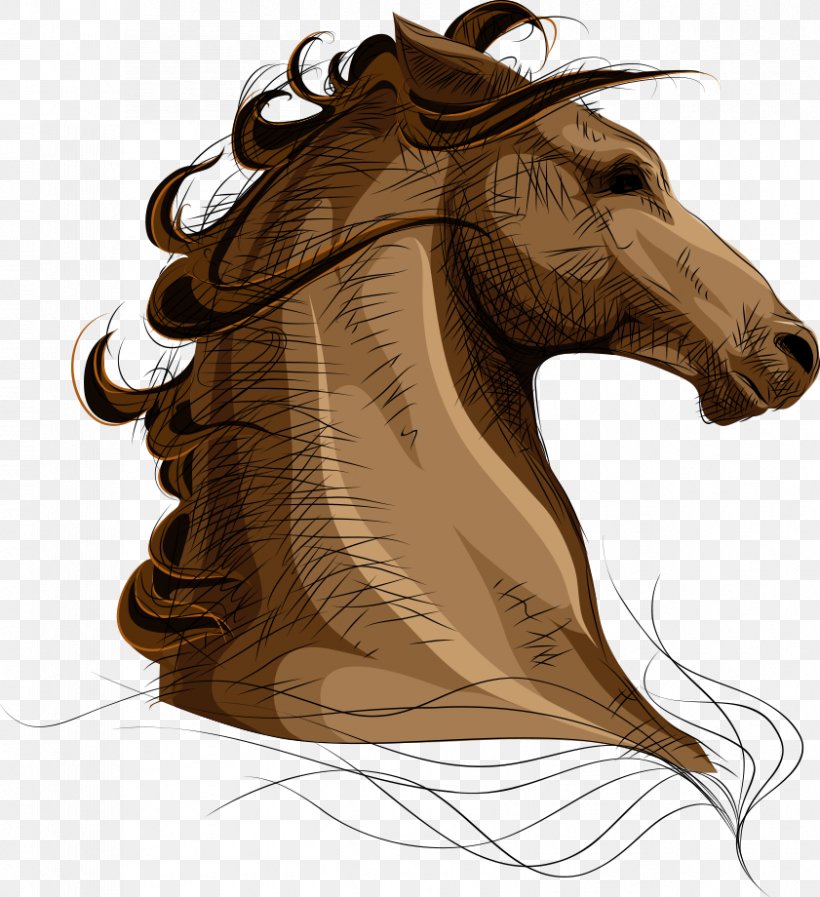 Arabian Horse Pet Equestrianism Illustration, PNG, 841x920px, Arabian Horse, Animal, Avatar, Equestrianism, Head Download Free