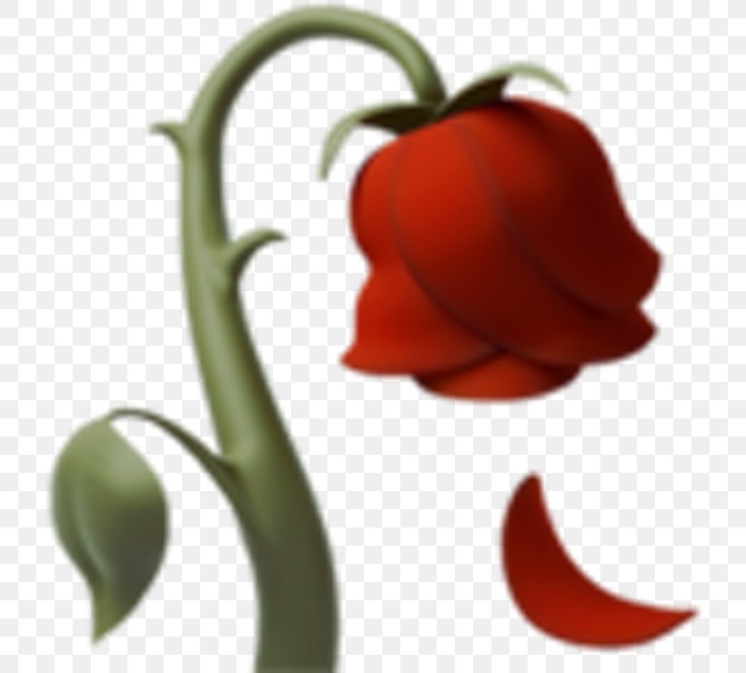 Emoji Domain Clip Art Sticker Emojipedia, PNG, 740x740px, Emoji, Emoji Domain, Emojipedia, Emoticon, Flower Download Free