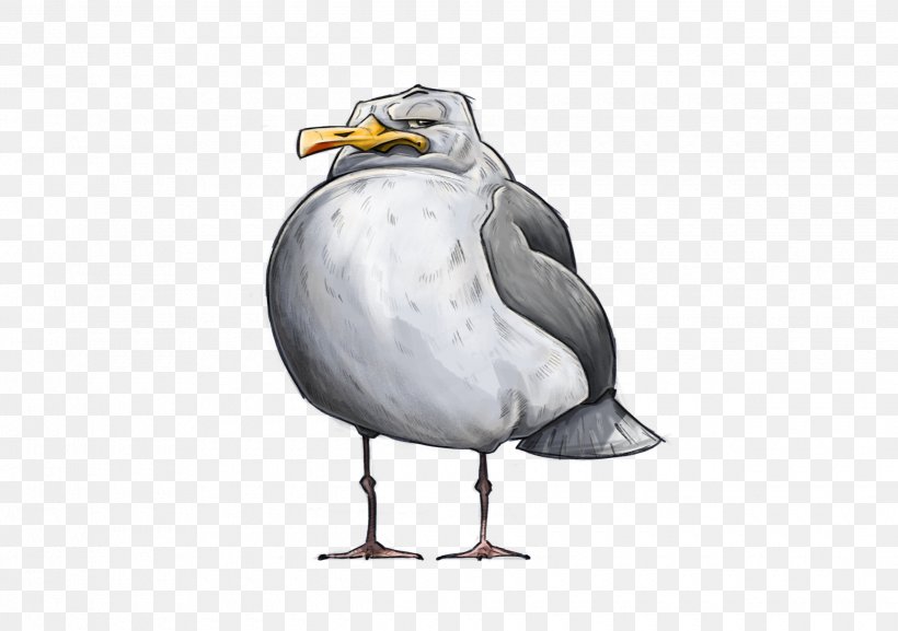European Herring Gull Gulls Goose Bird Cygnini, PNG, 2480x1748px, European Herring Gull, American Herring Gull, Beak, Bird, Charadriiformes Download Free
