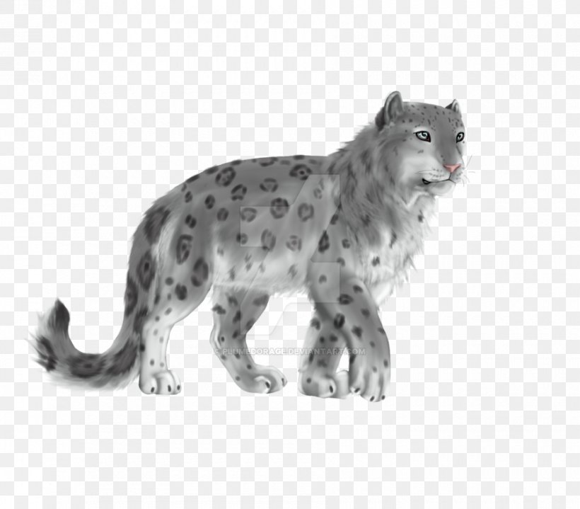 Whiskers Snow Leopard Cat Fur, PNG, 900x790px, Whiskers, Animal, Animal Figure, Big Cats, Black And White Download Free