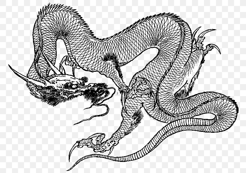 Chinese Dragon Serpent Tattoo Irezumi, PNG, 776x576px, Dragon, Art, Black And White, Chinese Dragon, Chinese Mythology Download Free