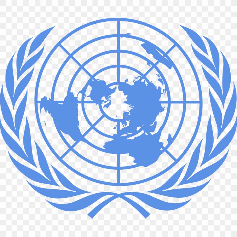 Flag Of The United Nations Organization United Nations General Assembly United Nations Office For Outer Space Affairs, PNG, 960x960px, Flag Of The United Nations, Area, Artwork, Ball, Black And White Download Free