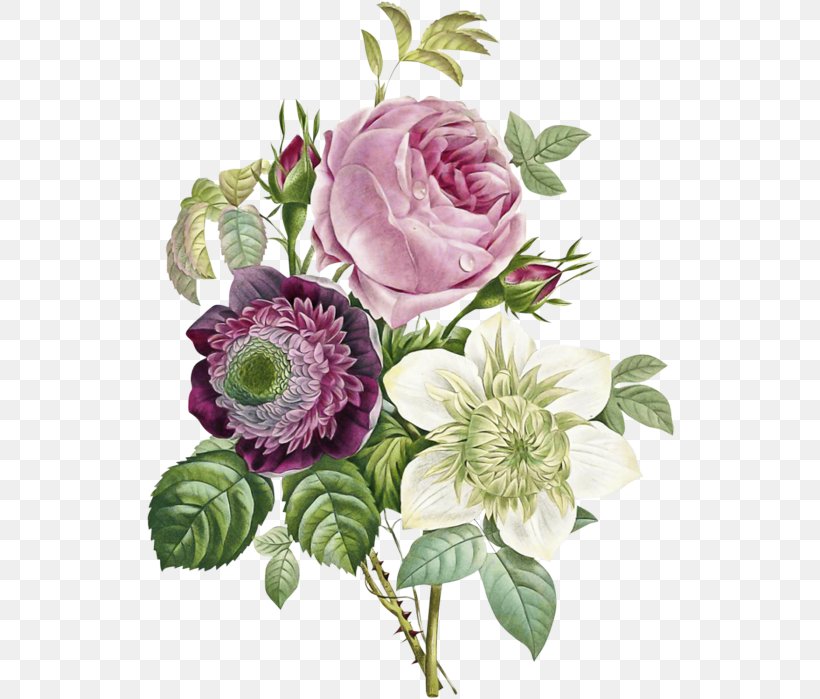 Rose, PNG, 528x699px, Flower, Cut Flowers, Flowering Plant, Petal, Pink Download Free