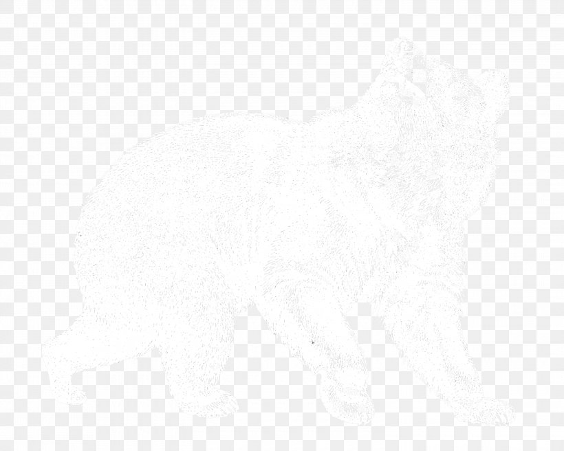 White Line Material, PNG, 3000x2400px, White, Black And White, Material, Rectangle Download Free