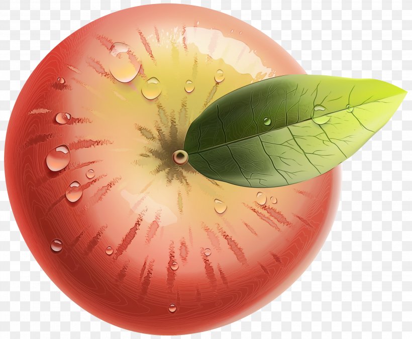 Apple Leaf, PNG, 3000x2472px, Apple, Fruit, Leaf, Plant Download Free