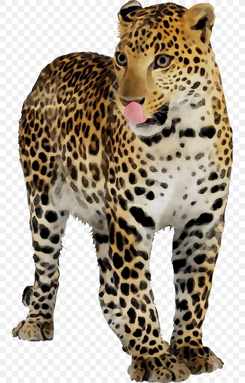 Leopard Jaguar Cheetah Clip Art, PNG, 742x1280px, Leopard, African Leopard, Animal, Animal Figure, Big Cats Download Free