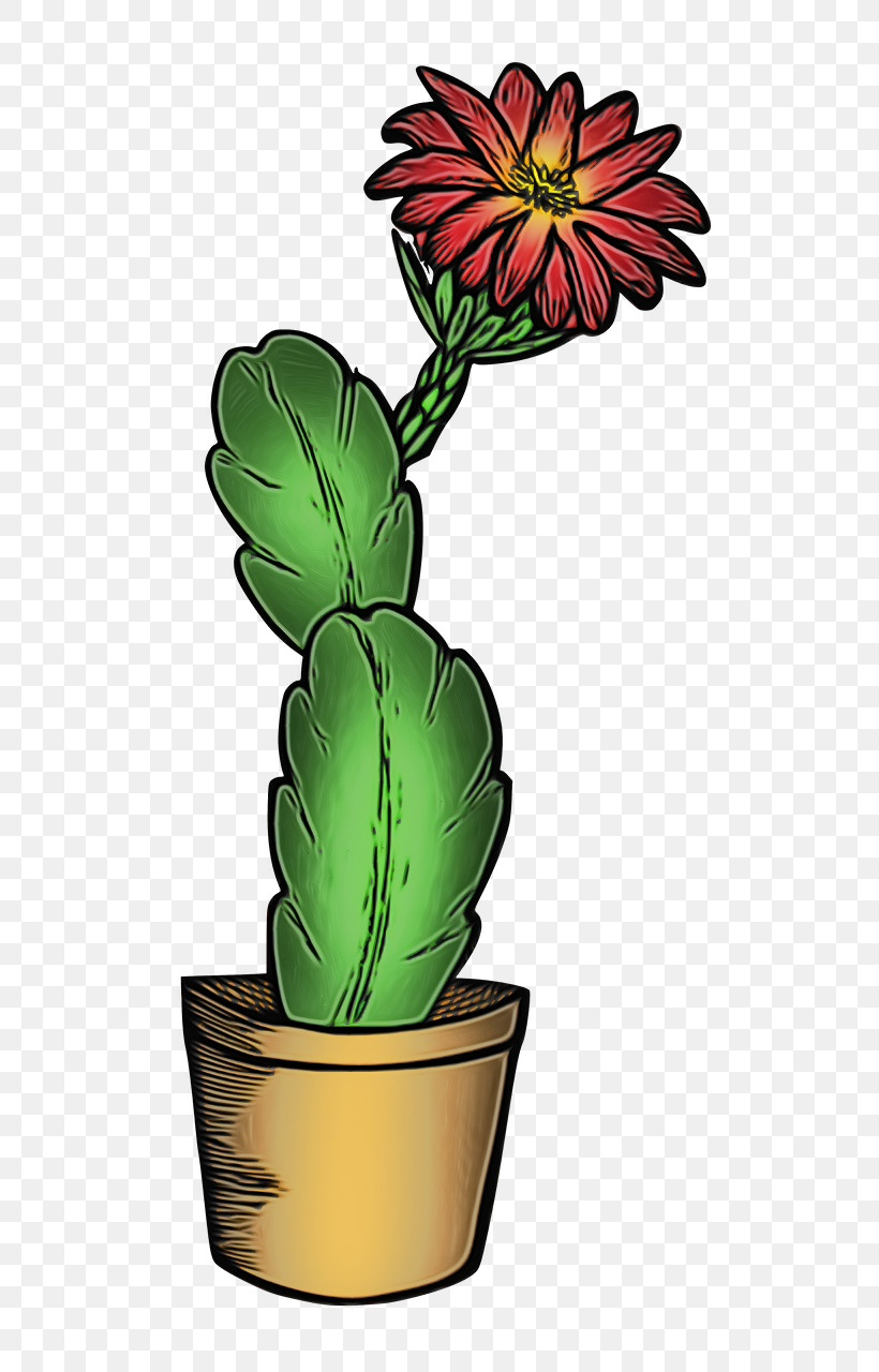 Plant Stem Flower Flowerpot Caryophyllales Herbaceous Plant, PNG, 652x1280px, Watercolor, Biology, Caryophyllales, Flower, Flowerpot Download Free