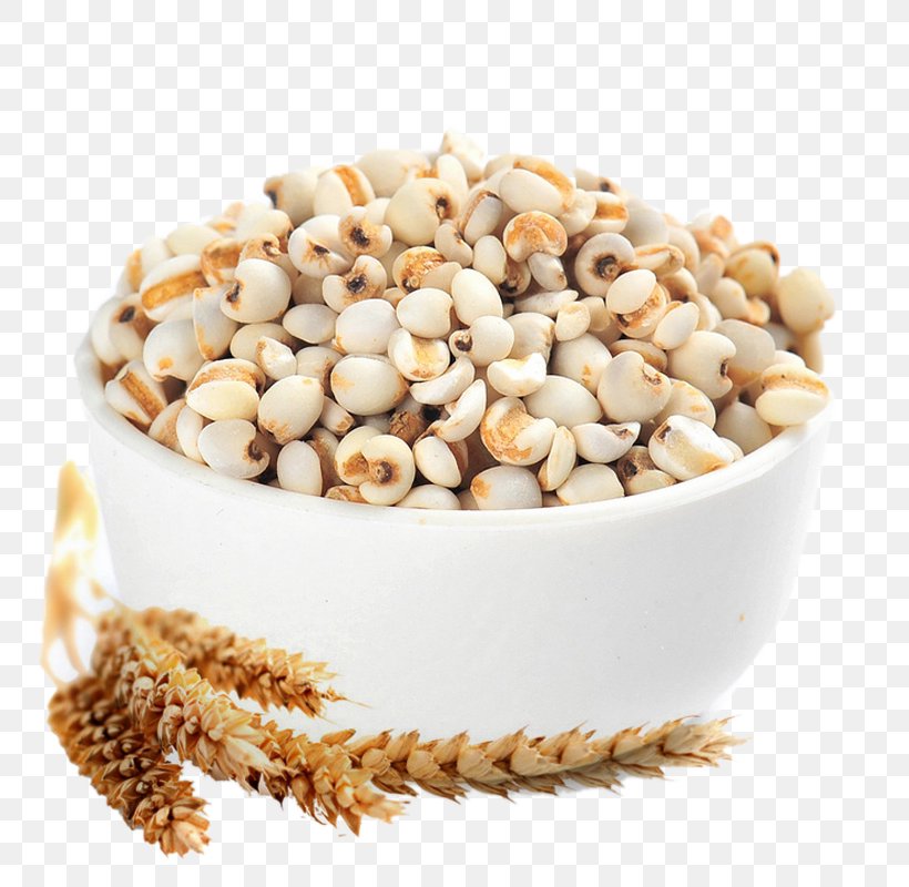 Tea Adlay Rice Cereal Seed, PNG, 800x800px, Tea, Adlay, Barley, Cereal, Coix Download Free