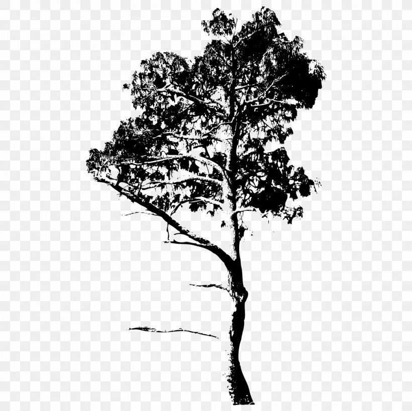 Twig Royalty-free Drawing, PNG, 1600x1600px, Twig, Art, Black And White, Branch, Drawing Download Free