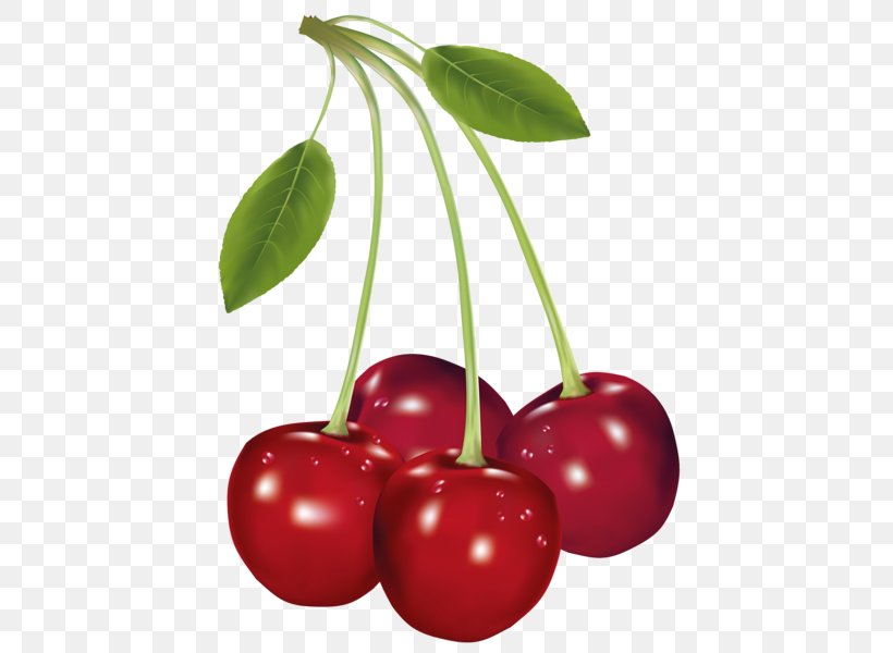 Barbados Cherry Food Clip Art, PNG, 444x600px, Cherry, Acerola, Auglis, Barbados Cherry, Berry Download Free