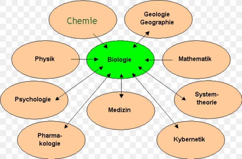 Biology Science Zoology Class Ökostation, PNG, 916x600px, Biology, Area, Behavior, Cartoon, Class Download Free