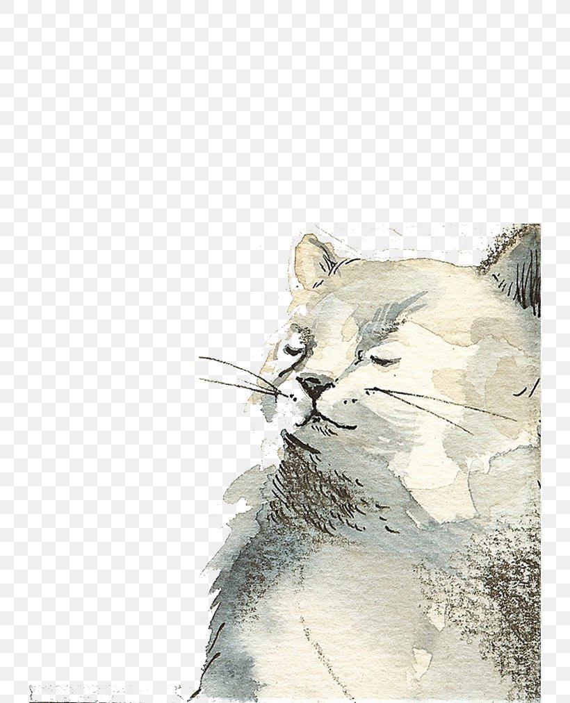 Cat Kitten Drawing Watercolor Painting Illustration, PNG, 736x1012px, Cat, Art, Calico Cat, Carnivoran, Cat Like Mammal Download Free