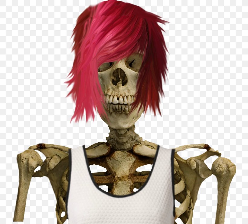 Human Skeleton, PNG, 770x740px, Human Skeleton, Christmas, Costume, Face, Fictional Character Download Free