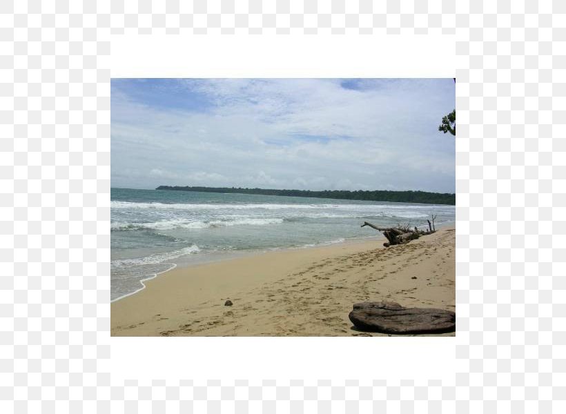 Shore Sea Beach Coast Ocean, PNG, 800x600px, Shore, Bay, Beach, Coast, Coastal And Oceanic Landforms Download Free