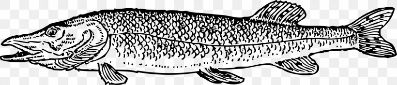 Cat Northern Pike Clip Art, PNG, 2400x516px, Cat, Animal Figure, Black And White, Carnivoran, Cat Like Mammal Download Free