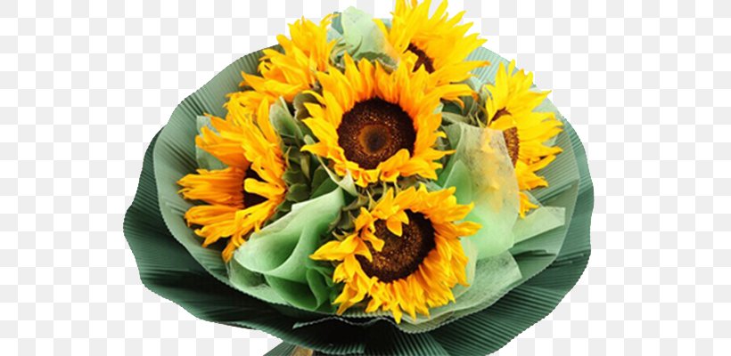 Common Sunflower Nosegay Meituan.com, PNG, 629x400px, Common Sunflower, Blomsterbutikk, Cut Flowers, Daisy Family, Dianping Download Free