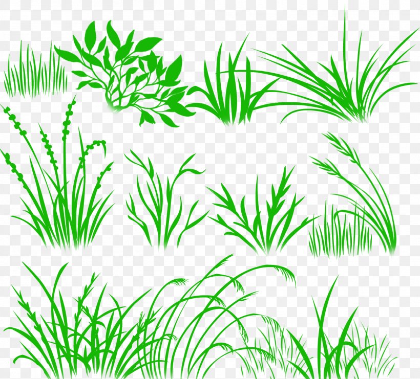 Herbaceous Plant Drawing Desktop Wallpaper, PNG, 1307x1182px, Herbaceous Plant, Aquarium Decor, Arecales, Branch, Desktop Metaphor Download Free