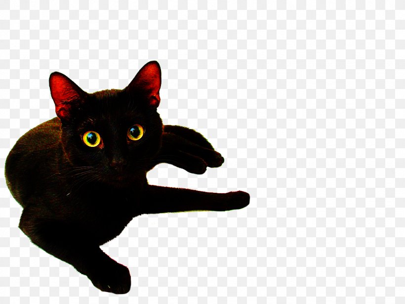 Poster Art Cat Wallpaper, PNG, 1024x768px, Poster, Alphonse Mucha, Art, Artist, Black Cat Download Free