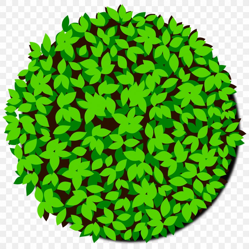 Tree Bonsai Shrub, PNG, 2400x2400px, Tree, Bonsai, Dots Per Inch, Grass, Green Download Free