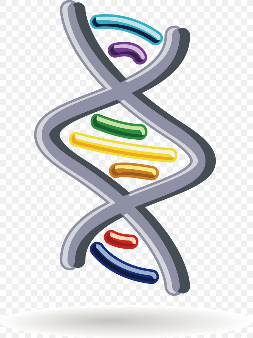 Euclidean Vector Icon, PNG, 1142x1527px, Dna, Animation, Cell, Gene, Information Download Free