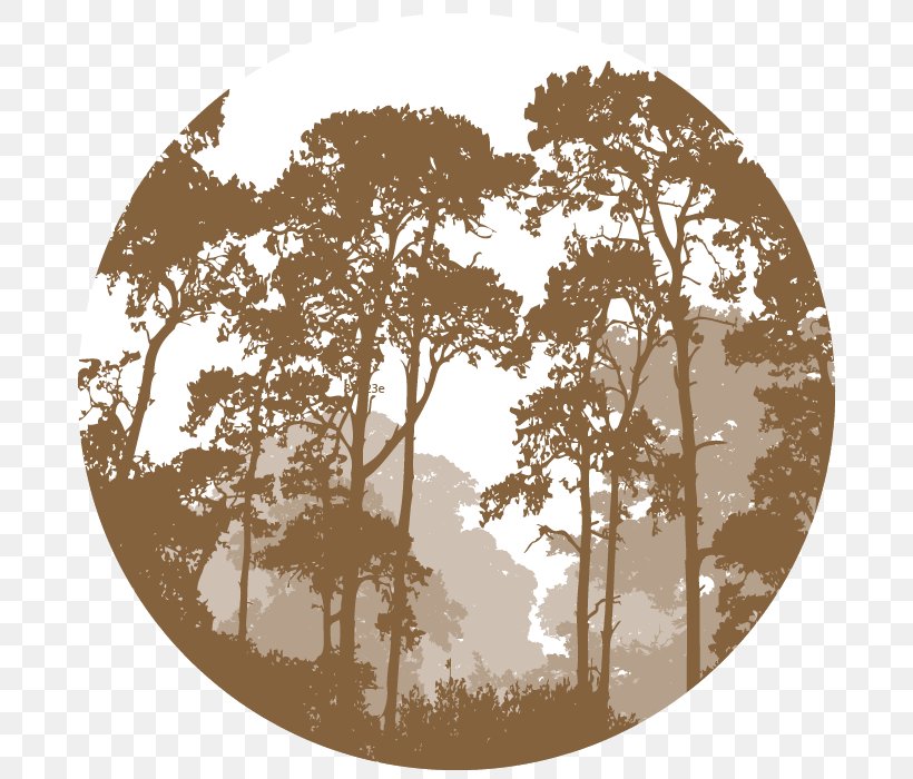 Vector Graphics Illustration Forest Landscape Silhouette, PNG, 700x700px, Forest, Branch, Brown, Dishware, Jungle Download Free