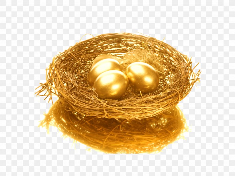Bird Nest Egg, PNG, 4724x3543px, Bird, Bird Nest, Egg, Finance, Gold Download Free