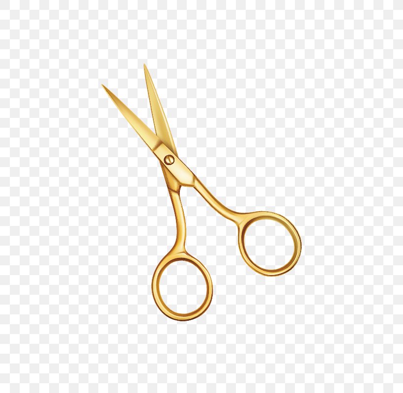 Scissors Hair-cutting Shears, PNG, 800x800px, Scissors, Cutting, Gold, Hair, Haircutting Shears Download Free