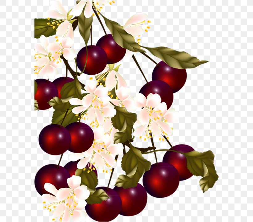 Sweet Cherry Berry Cerasus, PNG, 600x720px, Cherry, Apple, Berry, Blueberry, Branch Download Free