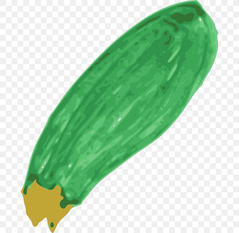 Zucchini Clip Art, PNG, 678x800px, Zucchini, Can Stock Photo, Cucumber, Cucumber Gourd And Melon Family, Cucurbita Download Free